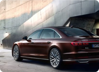 Professional car maintenance